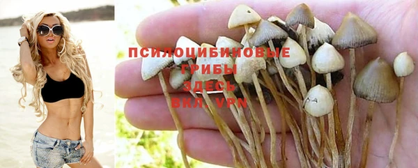 марихуана Абаза