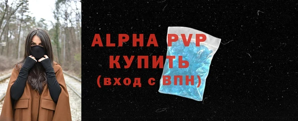 твердый Инта