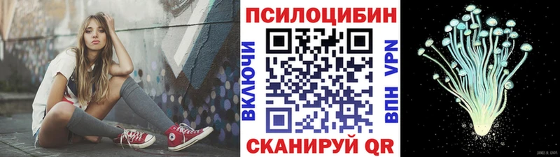 цена   Ступино  Псилоцибиновые грибы Psilocybine cubensis 